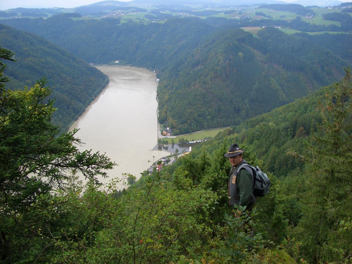 Fischgasthof Aumueller Obermuhl Ngoại thất bức ảnh